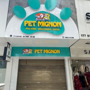 358555058_2229977057391331_8203918926078557106_n (1)