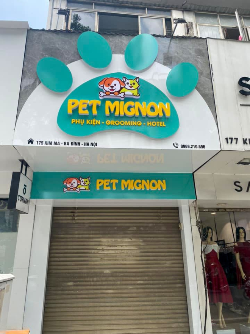 358555058_2229977057391331_8203918926078557106_n (1)