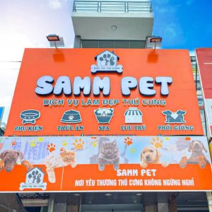 438301886_891585316313346_5498183721414237716_n (1)