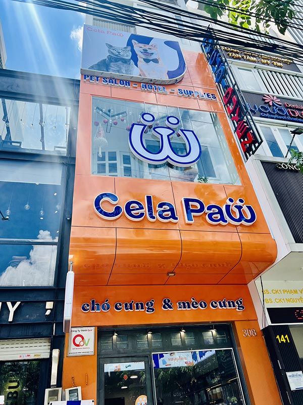 lam-bang-hieu-pet-shop-1